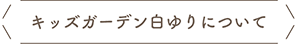 キッズガーデン白ゆりについて