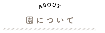 ABOUT　認定こども園白ゆりの丘について