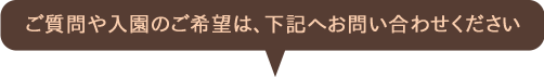 ご質問や入園のご希望は下記へお問い合わせください